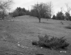 Tenney Property, Farm Fields