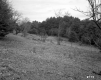 Tenney Property, Farm Fields
