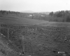 Tenney Property, Farm Fields