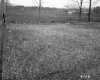 Tenney Property, Farm Fields