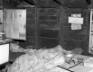Ingalls Property, Cabin Interior