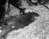 Stevens Property, Spring