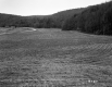 Stevens Property, Crop Fields