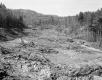 Stevens Property, Logging