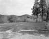 Fernandez Property, Parking Area