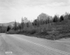 Fernandez Property, Forest and Mountains