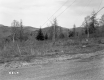 Fernandez Property, Mountain View