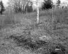 Fernandez Property, Forested Hilltop