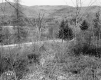 Fernandez Property, Mountain View