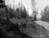 Fernandez Property, Forested Hills