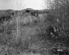 Fernandez Property, Forest and Mountains