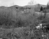 Fernandez Property, Forest and Mountains