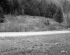 Walker Property, Forested Hills
