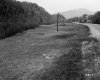 Walker Property, Meadow and Forested Hills