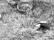 Ferguson Property, Spring