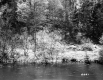 Farquharson Property, River through Forest