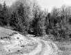 Farquharson Property, Dirt road through Forest