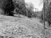 Farquharson Property, Meadow and Forested Hills