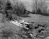 Farquharson Property, Fields and Foliage