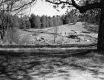 Farquharson Property, Logging on Hill