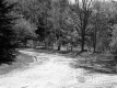 United Presbyterian Church Property, Forest View
