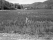 Snook Property, Meadow and Mountains
