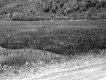 Snook Property, Meadow and Mountains