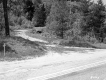 Saunders Property, Driveway through Forest