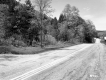 Saunders Property, Forested Hills