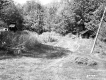 Willis Property, Field and Forest