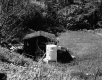 Fifield Property, Shed