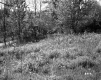 Heath Property, Field and Forest