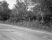 Heath Property, Highway through Forest