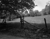Ingalls Property, Fenced Pasture