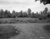 Forest and Farm Field