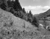 Sport Hill Incorporated Property, Meadow and Mountains