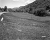 Sport Hill Incorporated Property, Meadow and Mountains