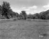 Sport Hill Incorporated Property, Meadow and Mountains