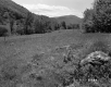 Sport Hill Incorporated Property, Meadow and Mountains