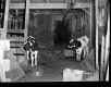 Sport Hill Incorporated Property, Barn Interior