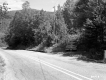 Blanchard Property, Highway through Forest