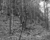E. Eanchuk's Property