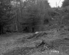 E. Eanchuk's Property