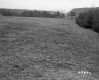 Britton's Property