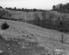 Britton's Property