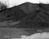 Wood's Property
