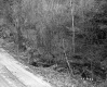 Dimock's Property