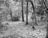 Dimock's Property