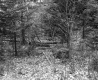 Dimock's Property