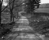 Dirt Road